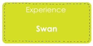 Experience Swan